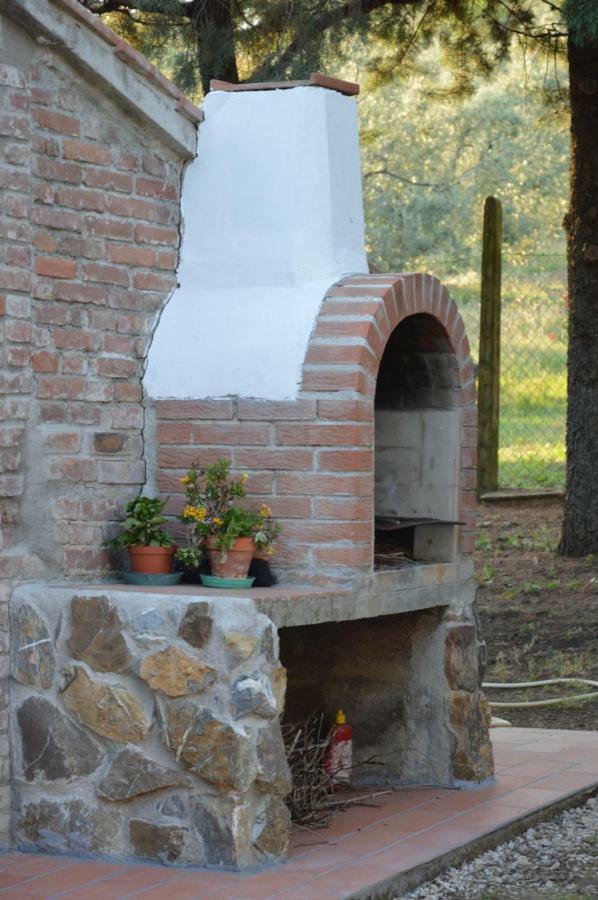 Agriturismo San Lino-Gilberto Massa Marittima Exteriör bild